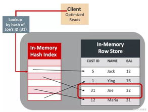Oracle 18c 體系架構(gòu)圖創(chuàng)作之路 設(shè)計(jì)者說(shuō)與精品海報(bào)大放送